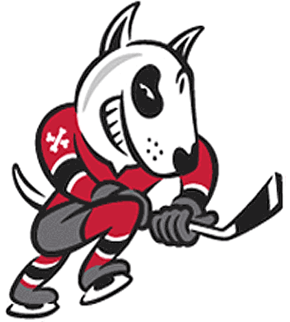 Niagara IceDogs 2007-pres alternate logo v2 iron on heat transfer...